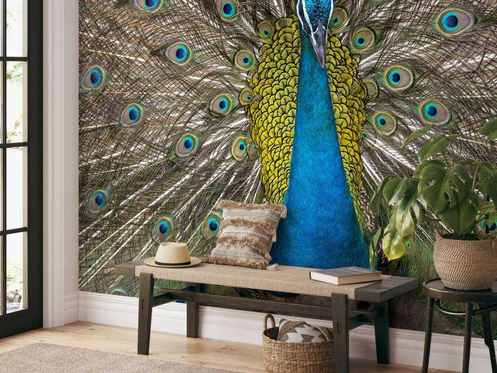 Peacock with stuffed feathers