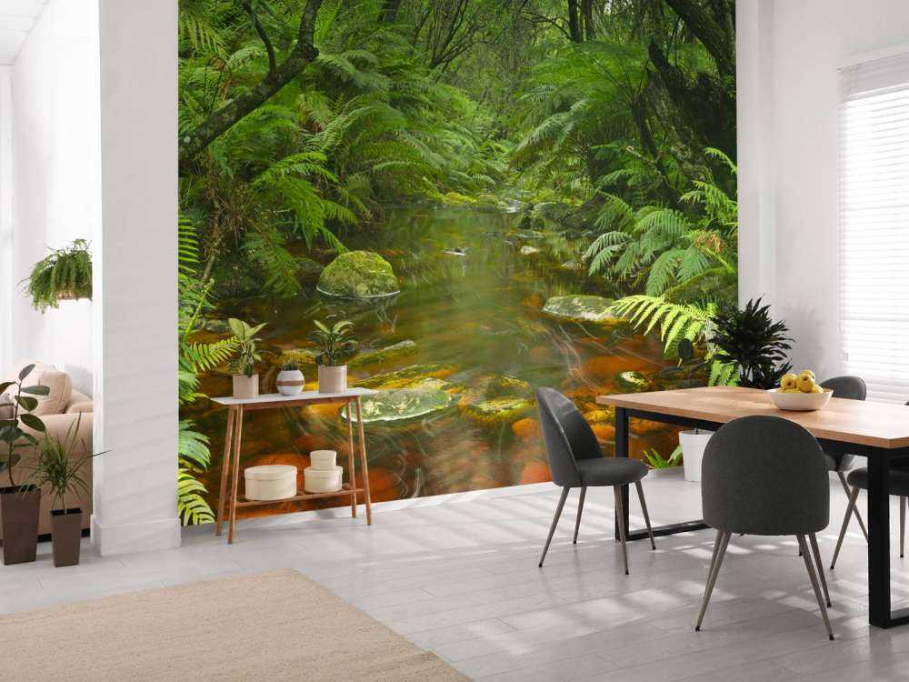 River in the rainforest