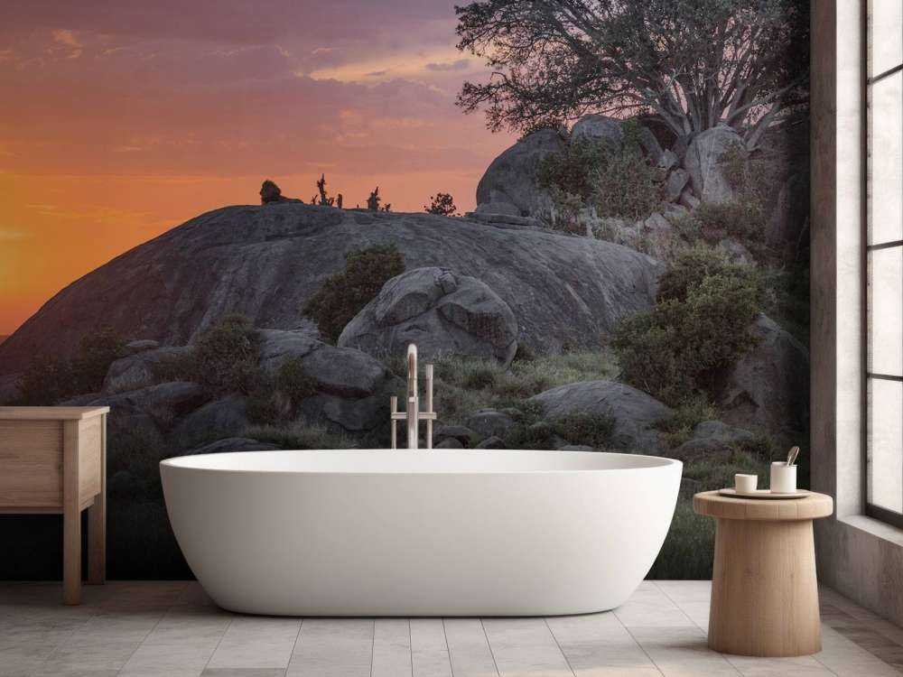 Sunset over the savannah