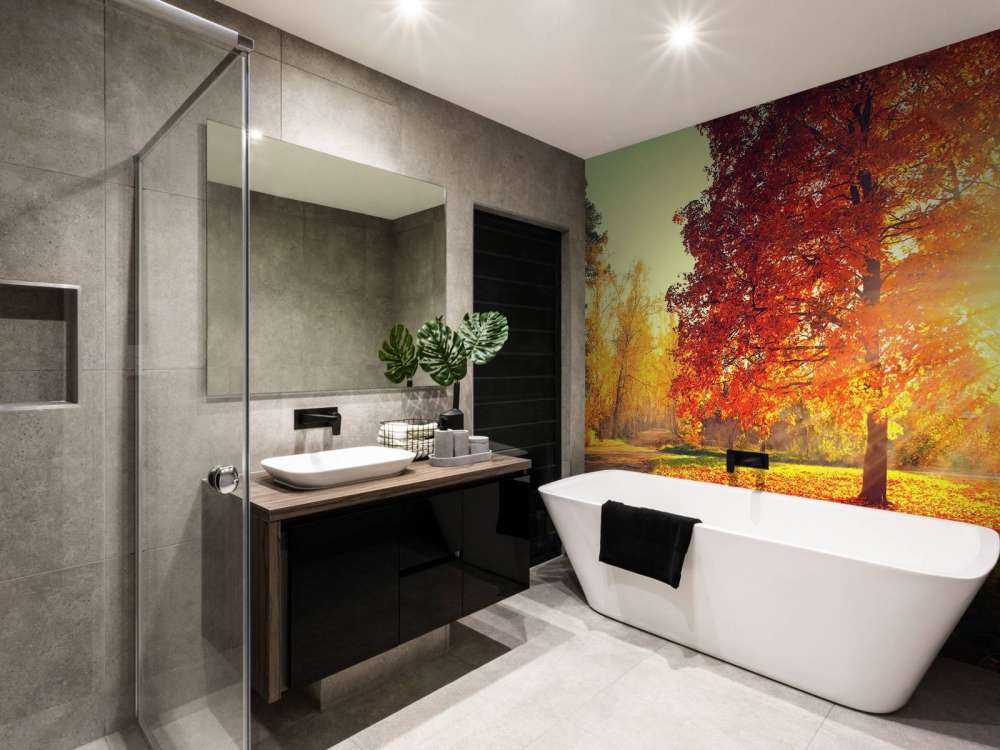 Autumn trees in sunlight