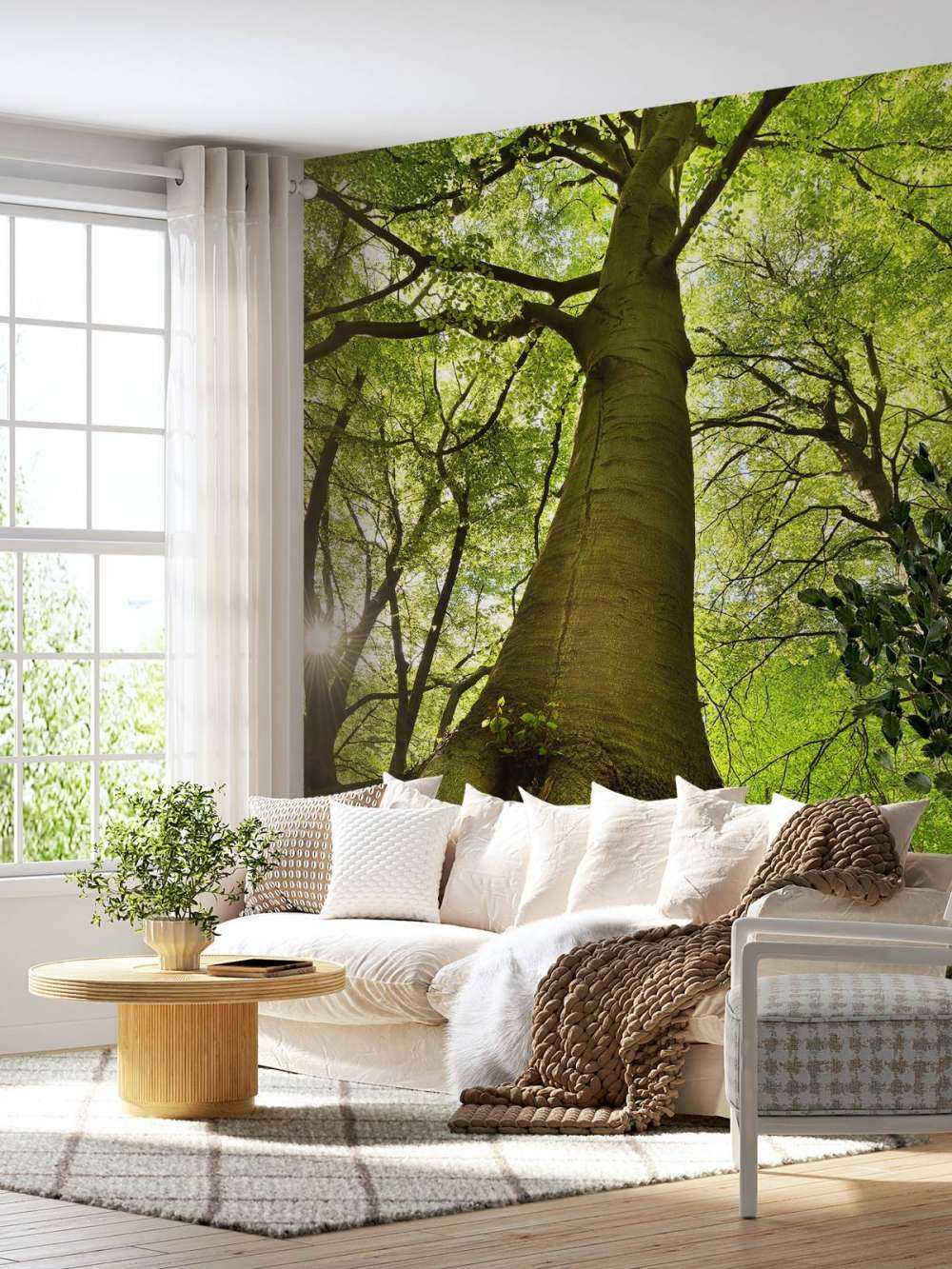 Large tree and roots