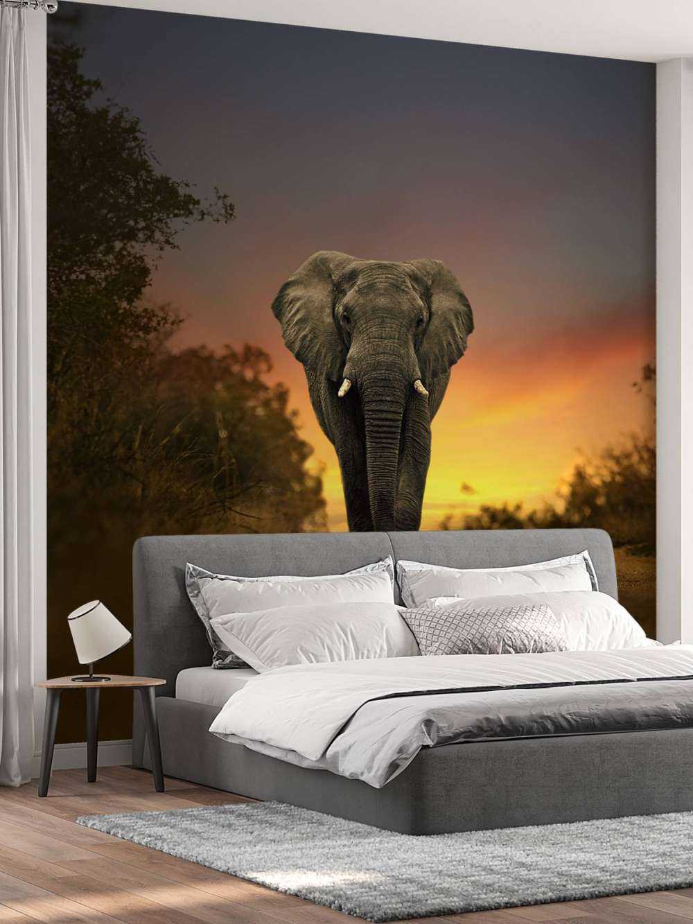 Elephant in the sunset