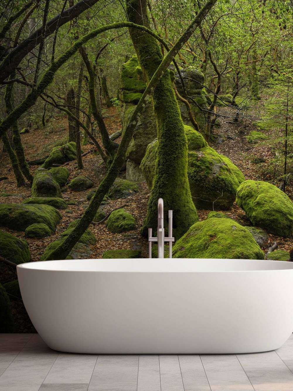 Trees and moss stones