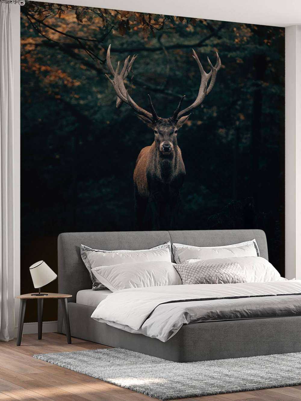 Fallow deer in the woods