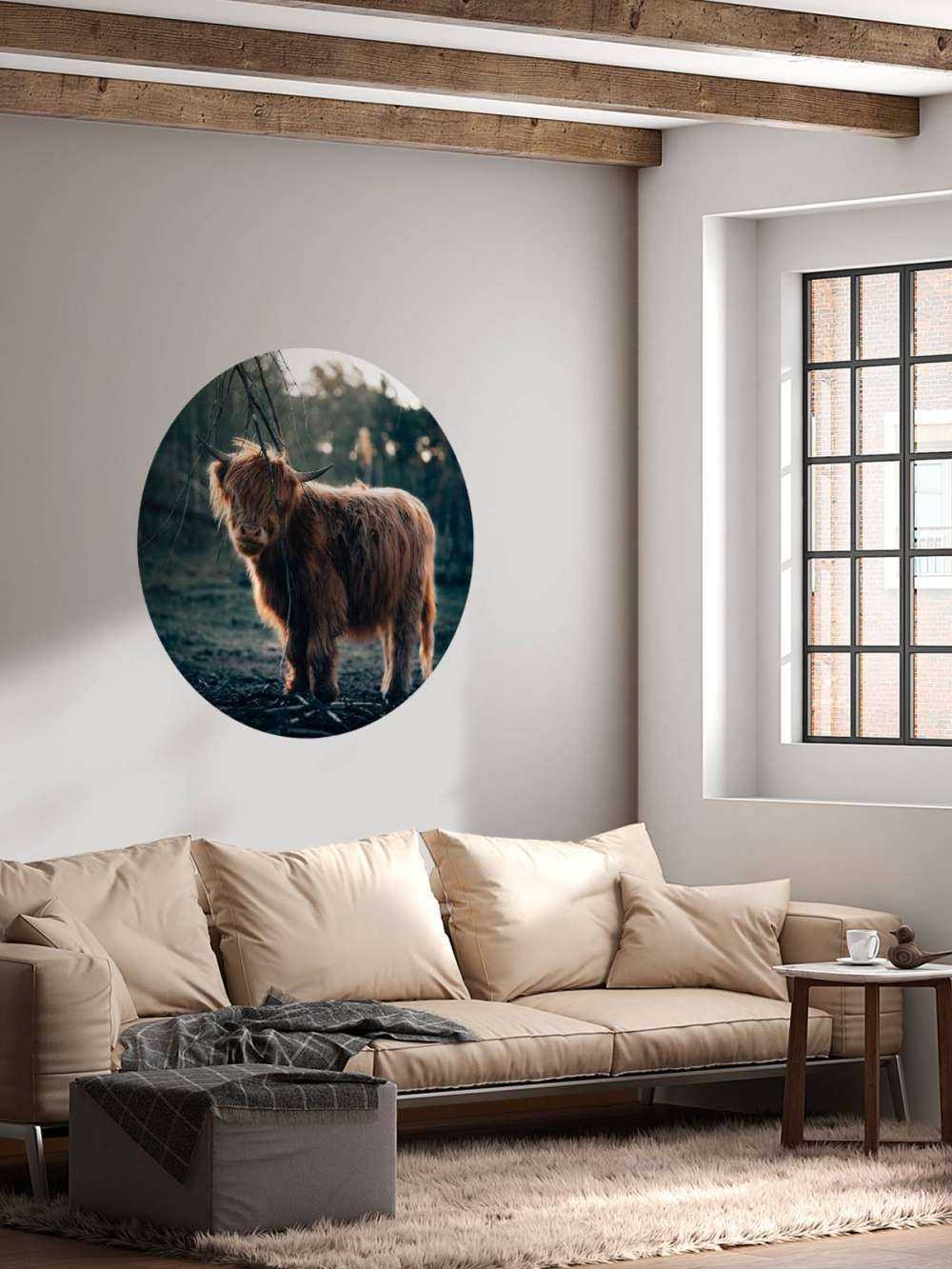 Scottish Highlander on the edge of the woods