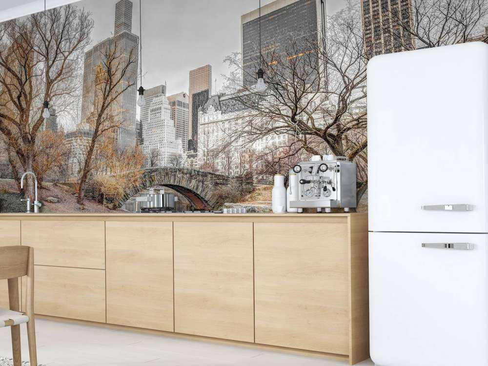 Central park in winter