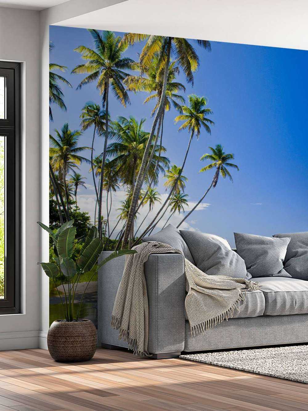 North coast of Trinidad