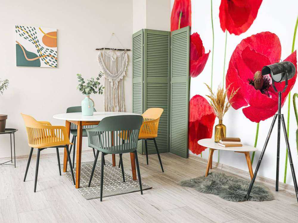 Poppies on white background