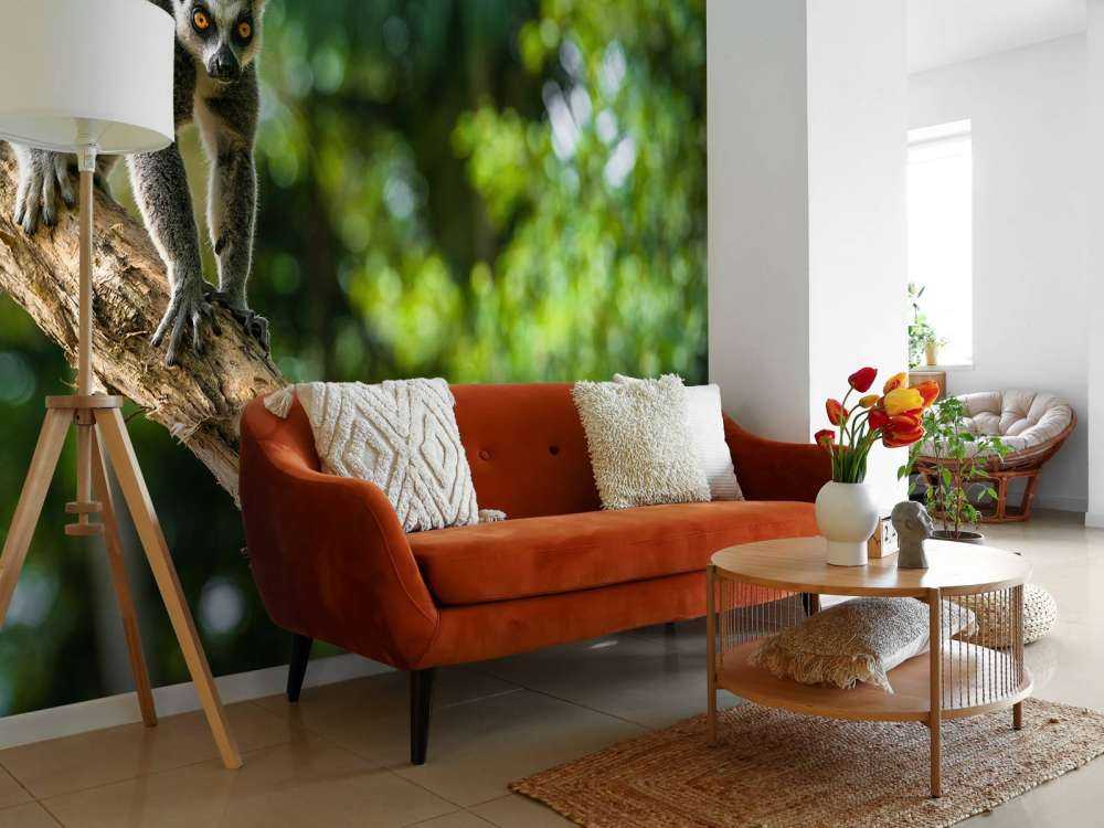 Ring-tailed monkey in a tree