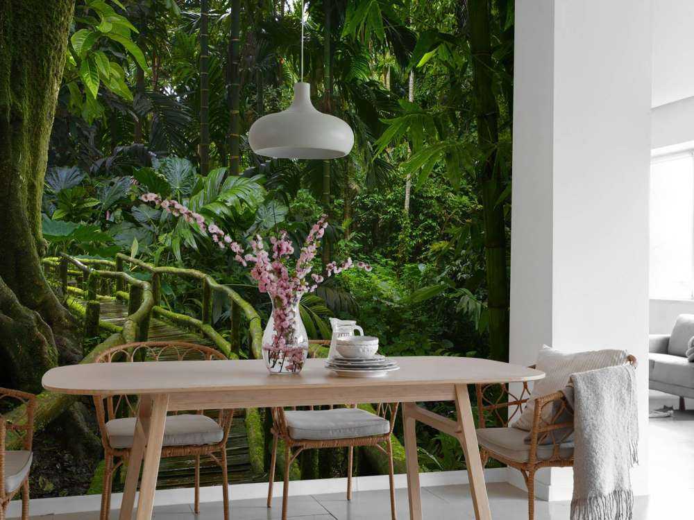 Narrow jungle bridge