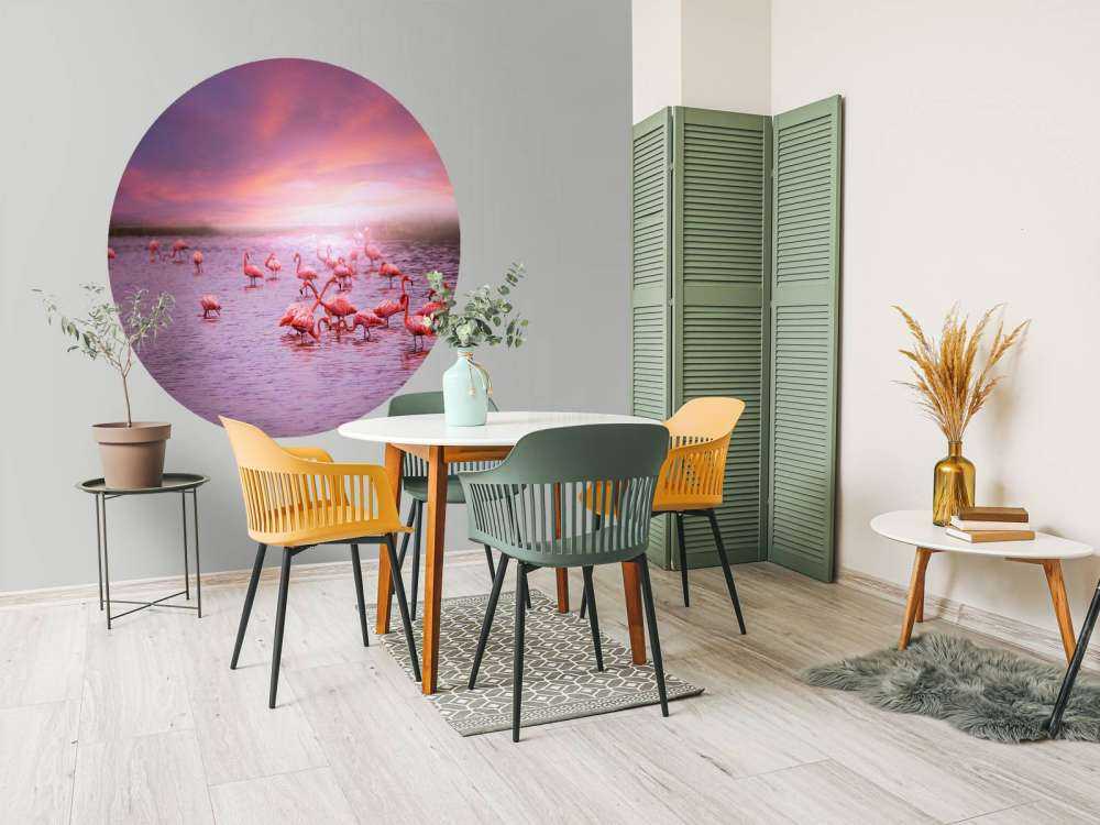 Flamingos with sunset