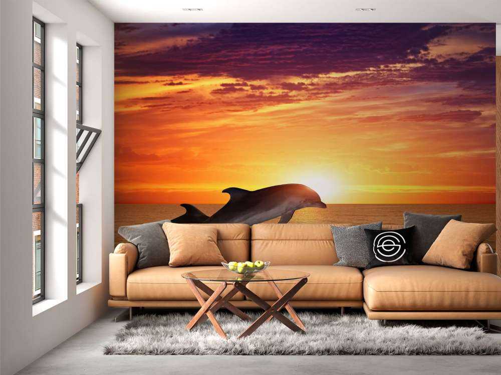 Dolphins in evening sun