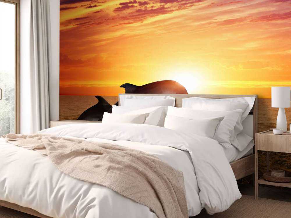 Dolphins in evening sun