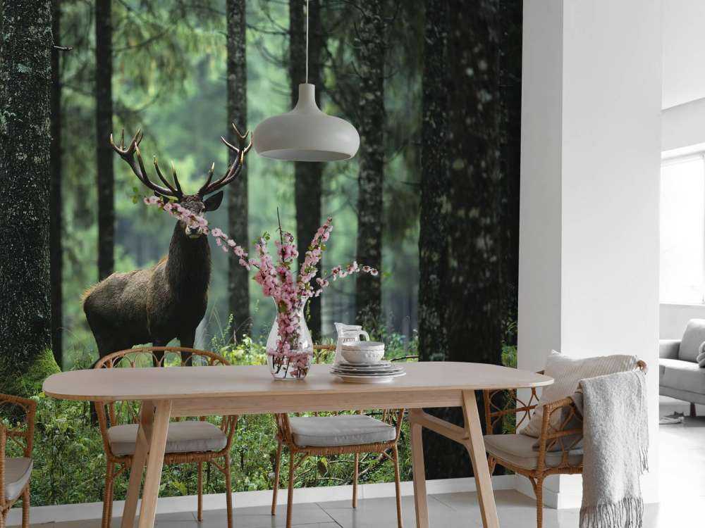 Big deer between trees