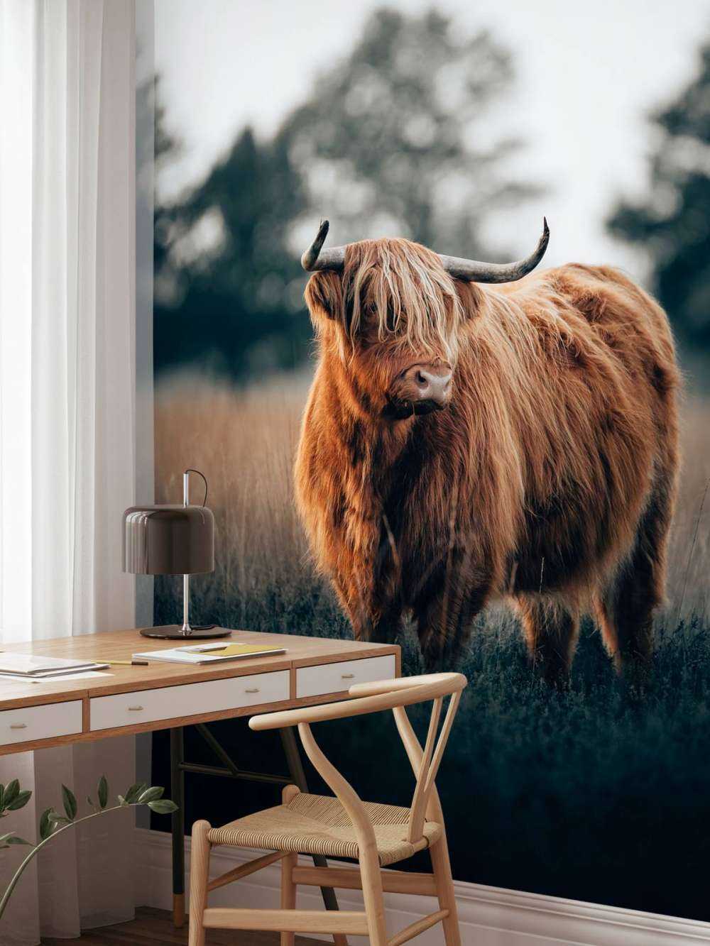 Portrait of Highlanders