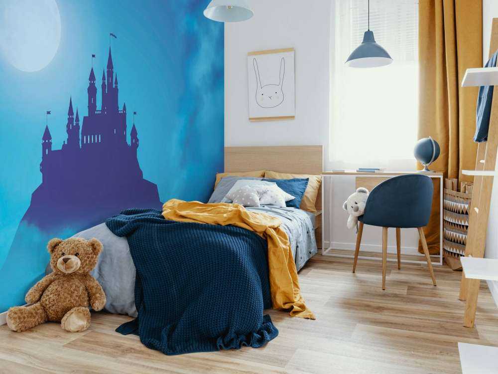 Castle with moonlight