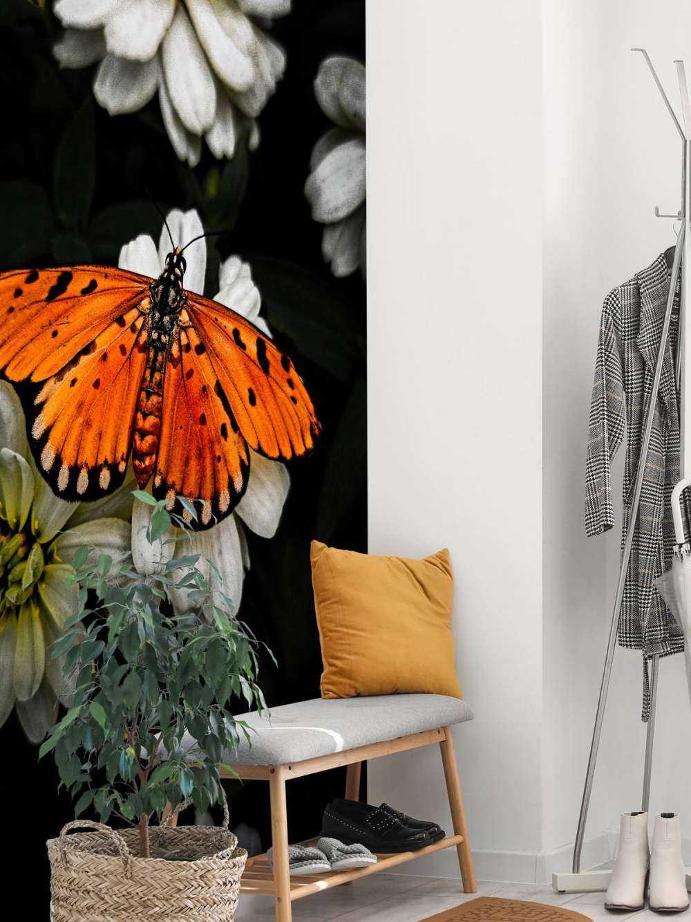 Monarch butterfly on a flower