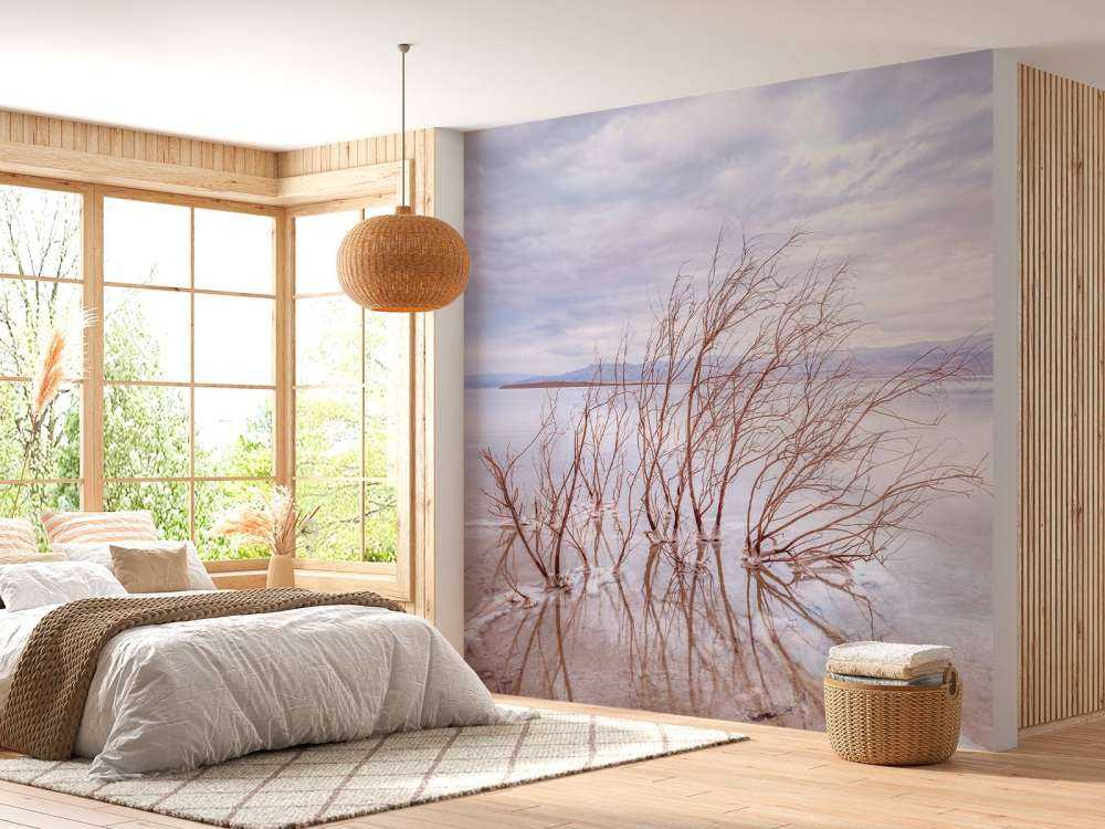 Branches in the Dead Sea