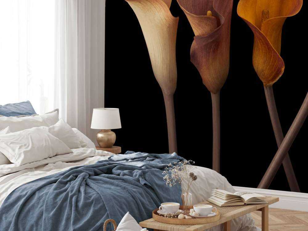 Calla Lilies