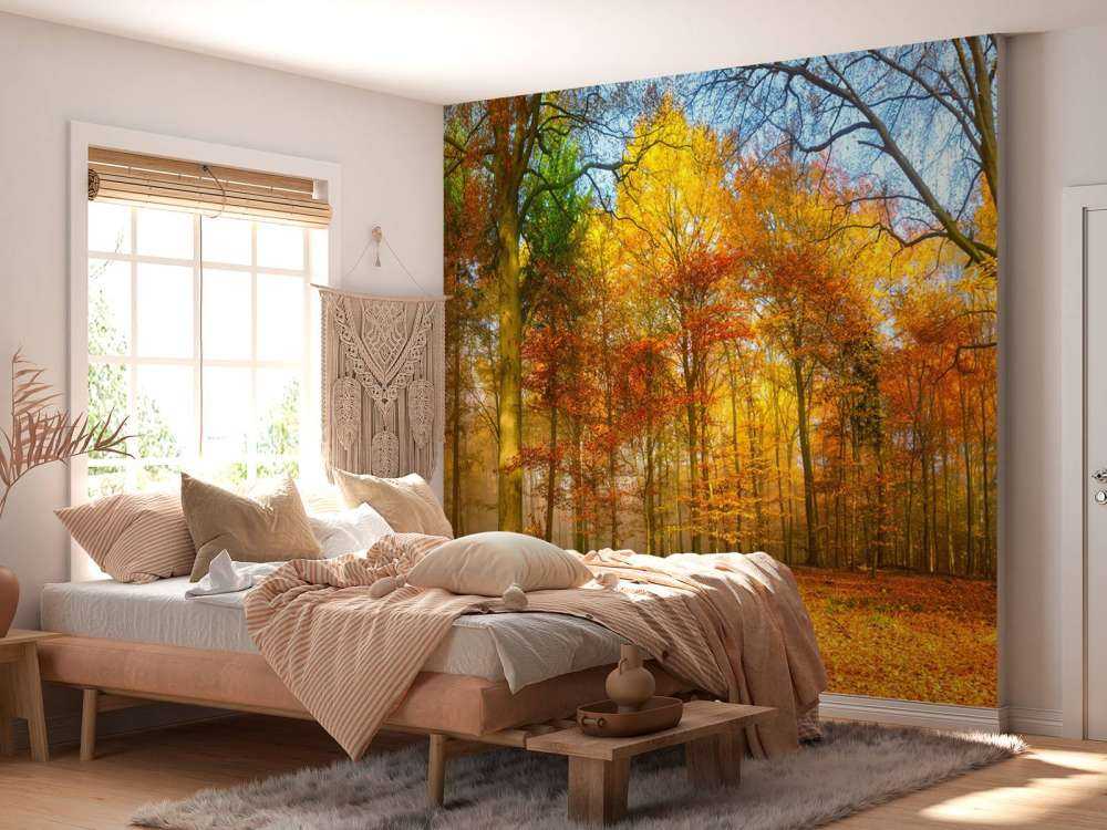 Colorful forest panorama