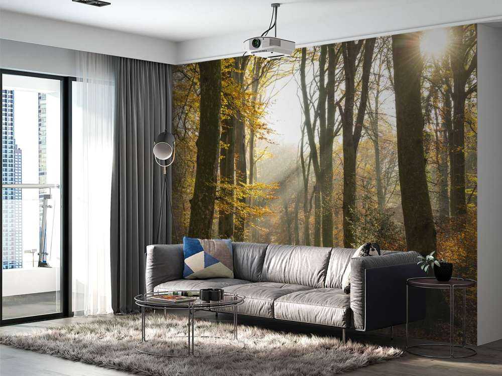 The&#x20;forest&#x20;of&#x20;Cr&#xE9;cy