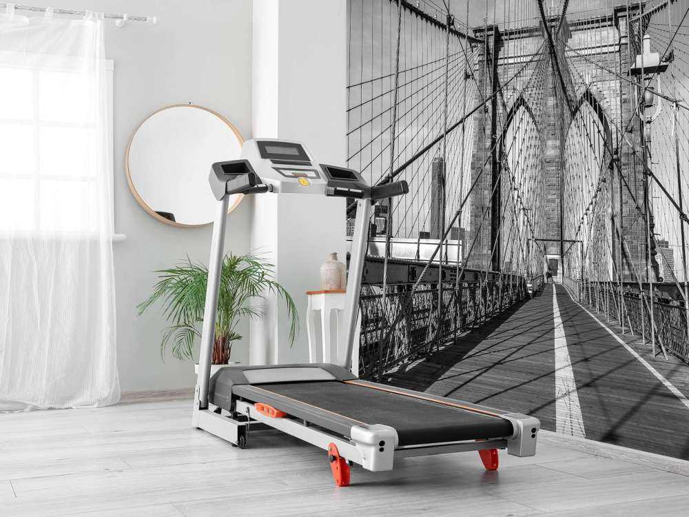 Bridge in black and white