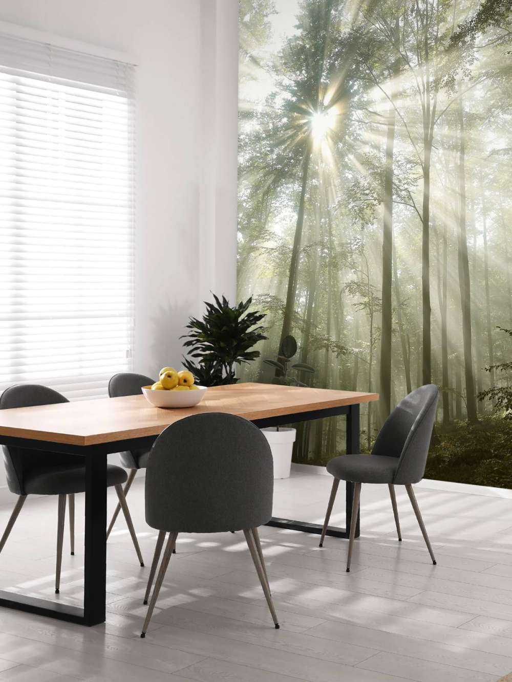 Forest in foggy weather