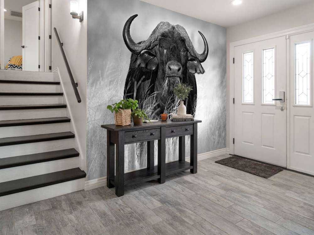 Buffalo in black and white