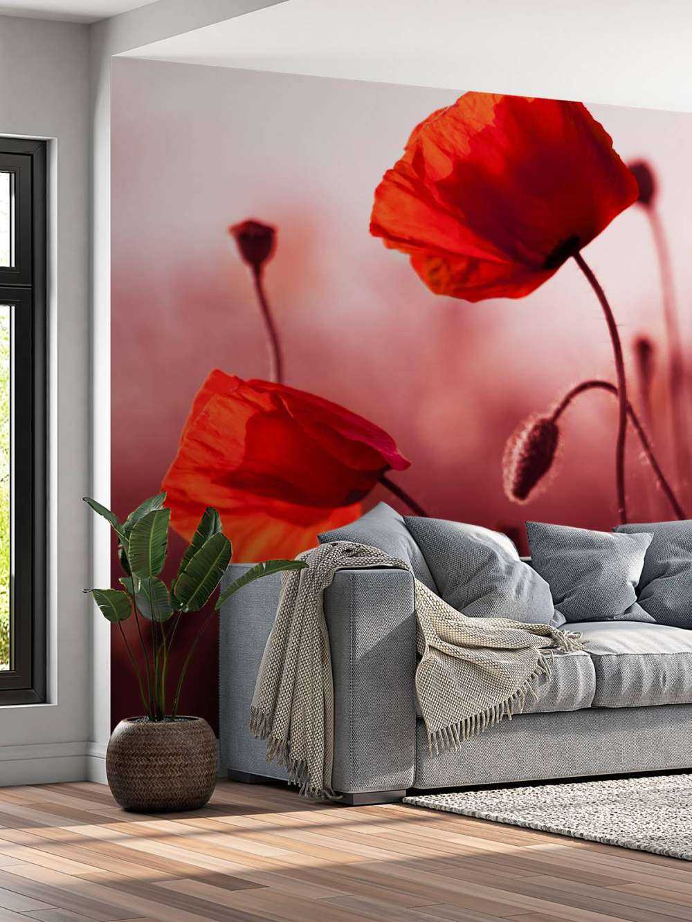 Poppies in the meadow