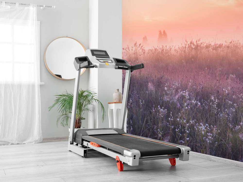 Field with morning mist