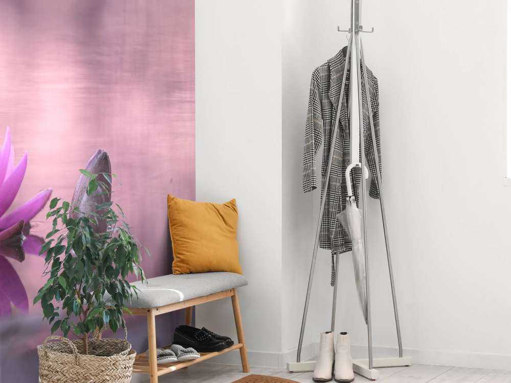 Lotus flower in pond