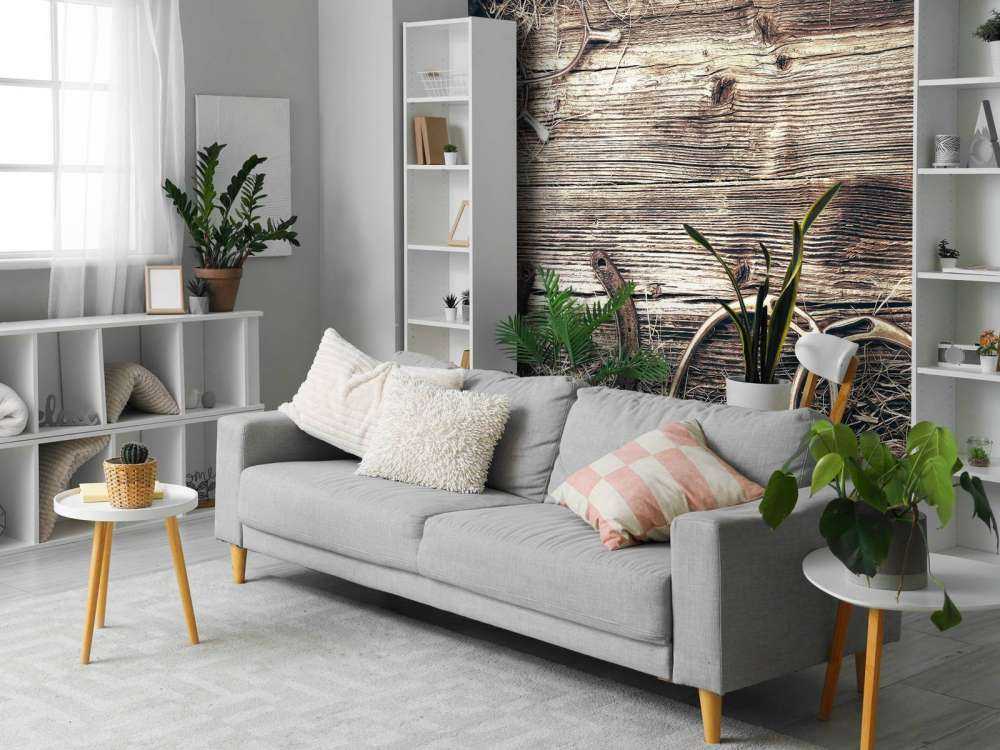 Equipment for horses