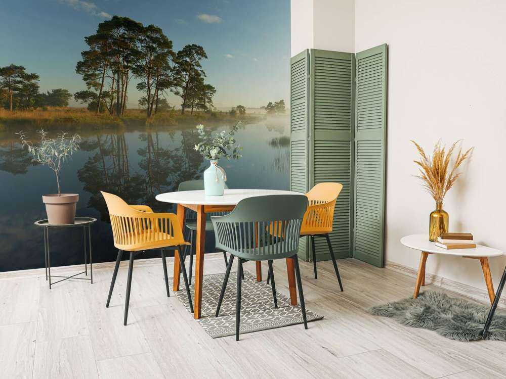 Reflection in moorland