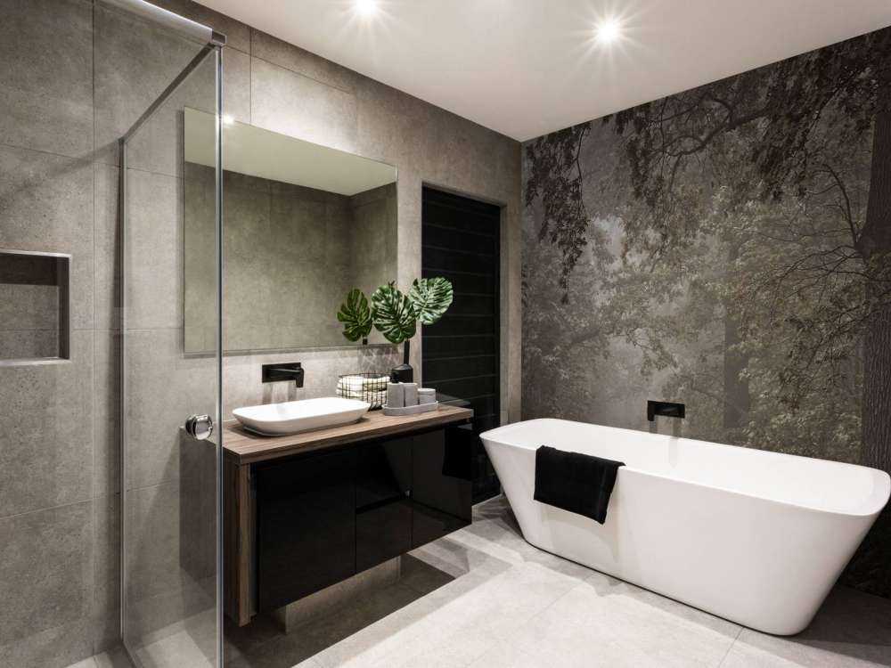 Path through misty forest