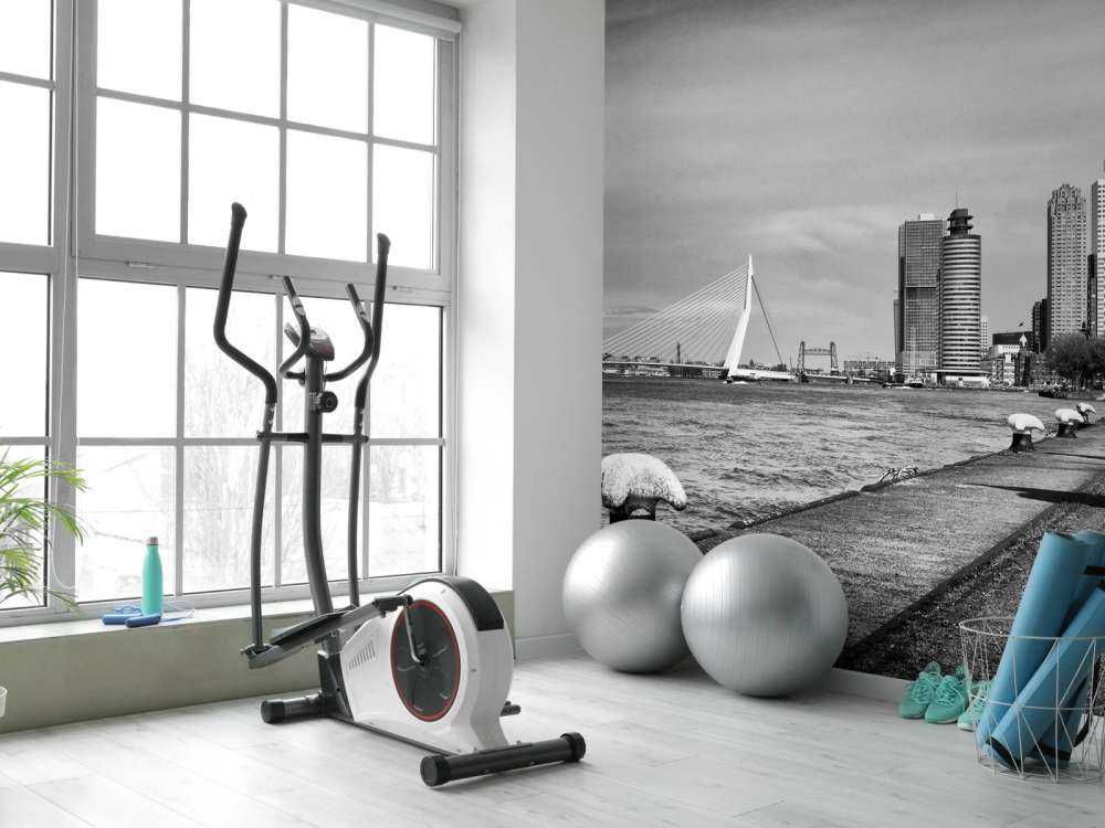 World port city Rotterdam 