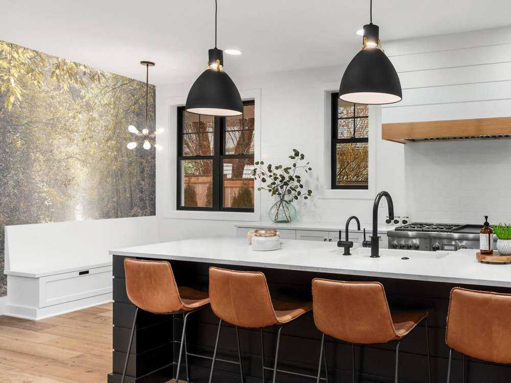 Path through a deserted forest