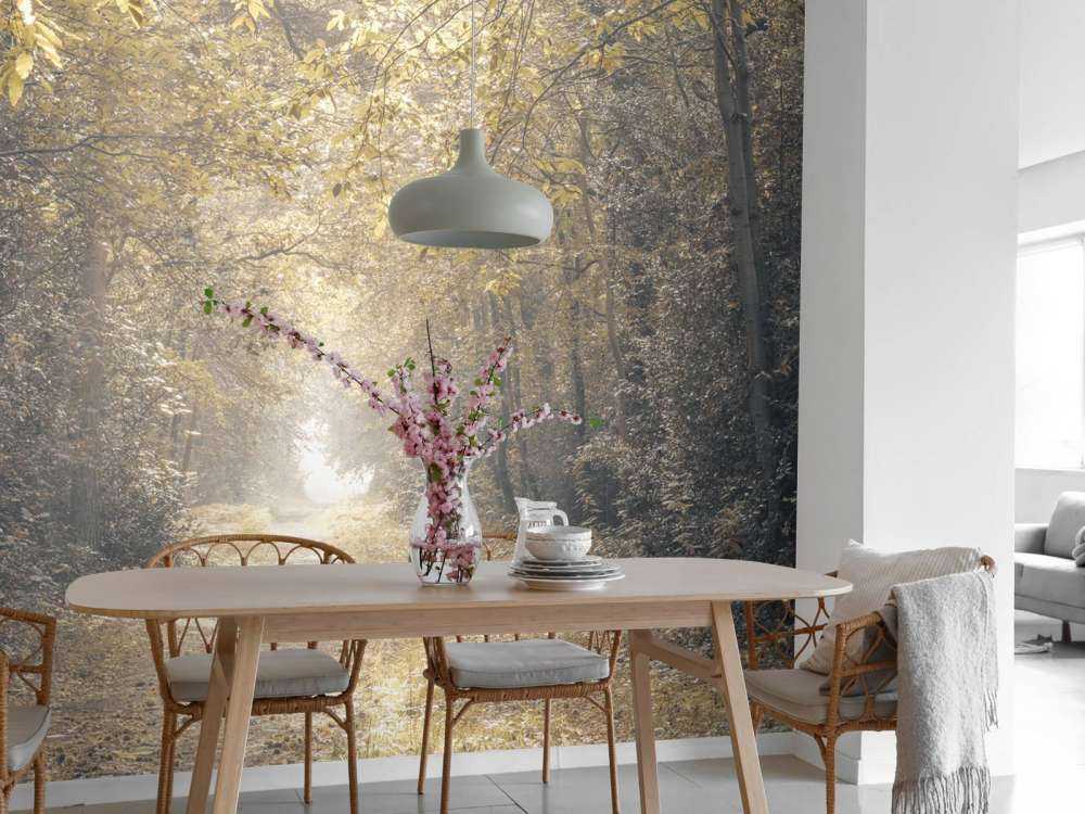 Path through a deserted forest