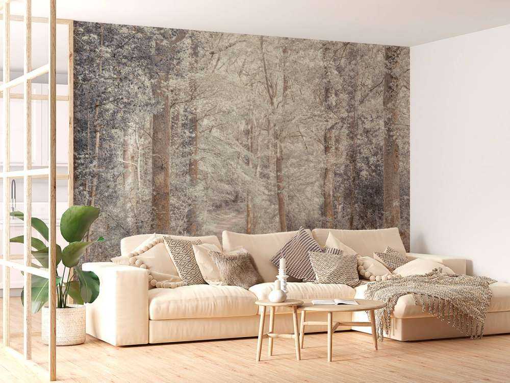 A path through a green forest