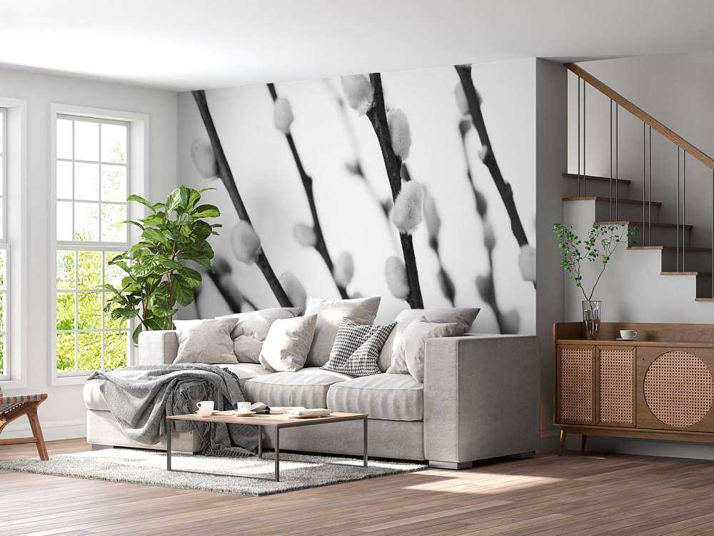 Black and white willow