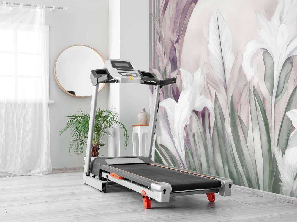 Irises at Sunrise Geen