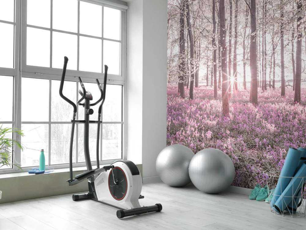 Forest in spring