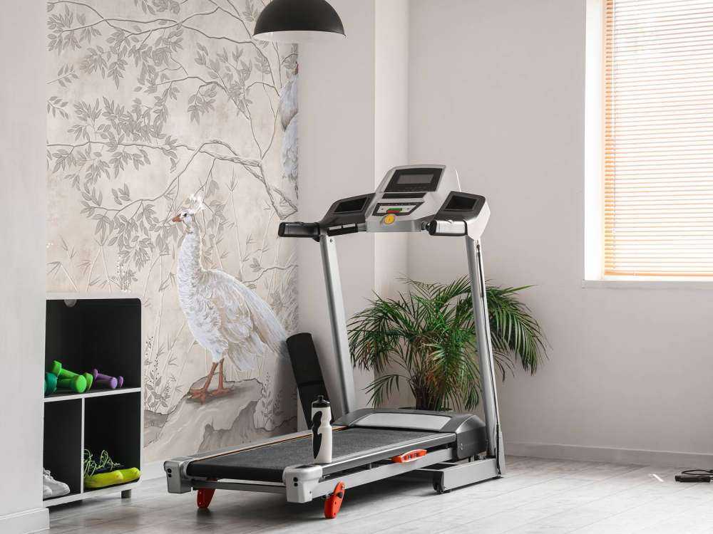 Peacocks in the tree