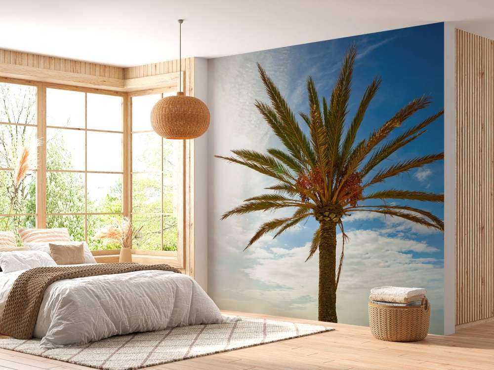 Beautiful palm tree