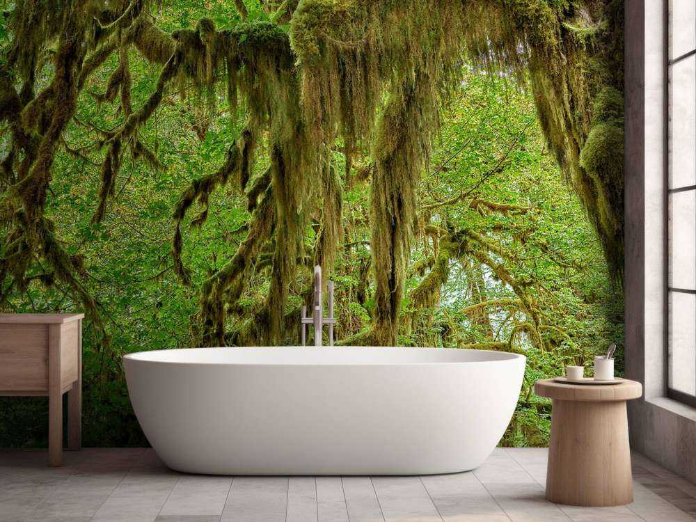 Moss on tree branches