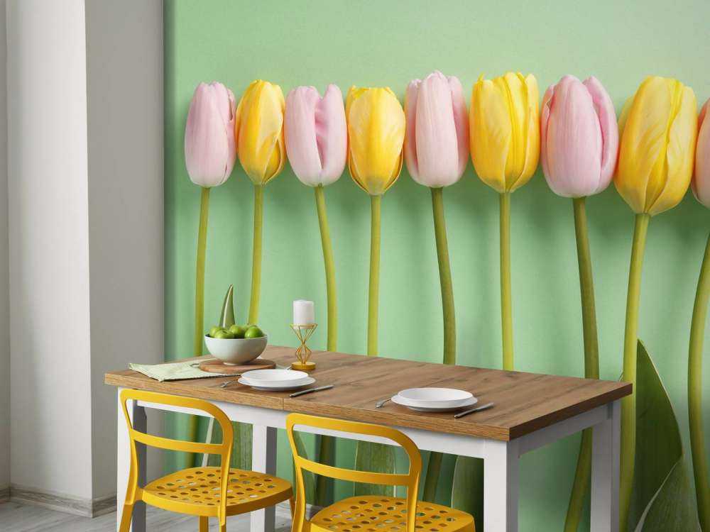 Tulips on mint green background