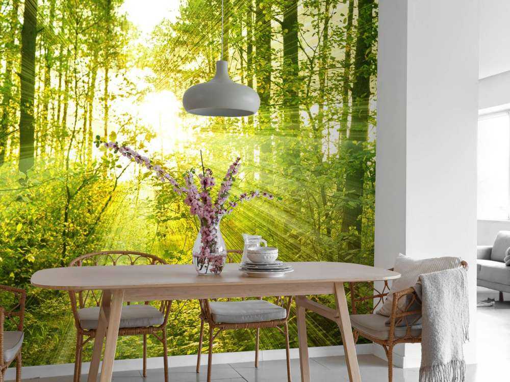 Sunshine in a green forest