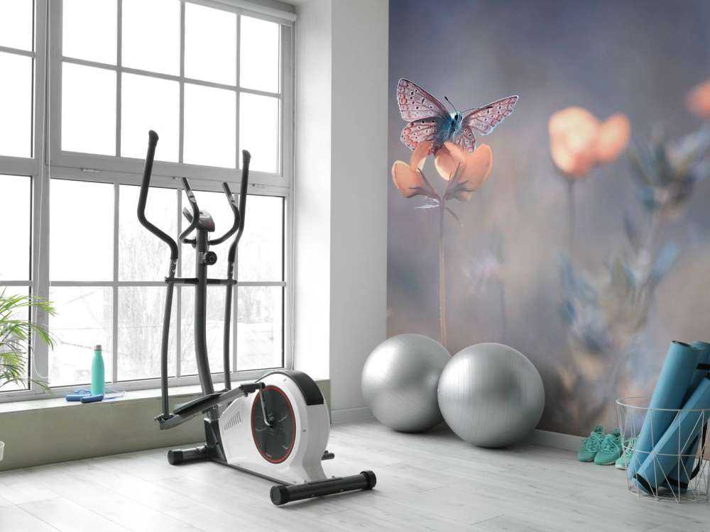 The Lady of Lothlorien