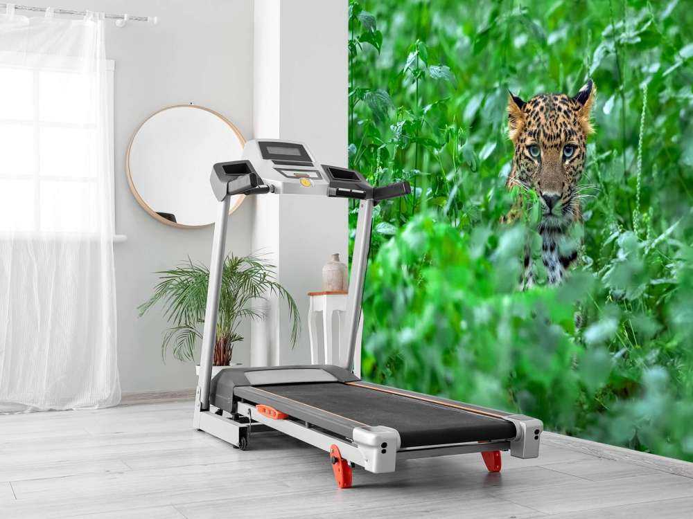 Leopard in the forest