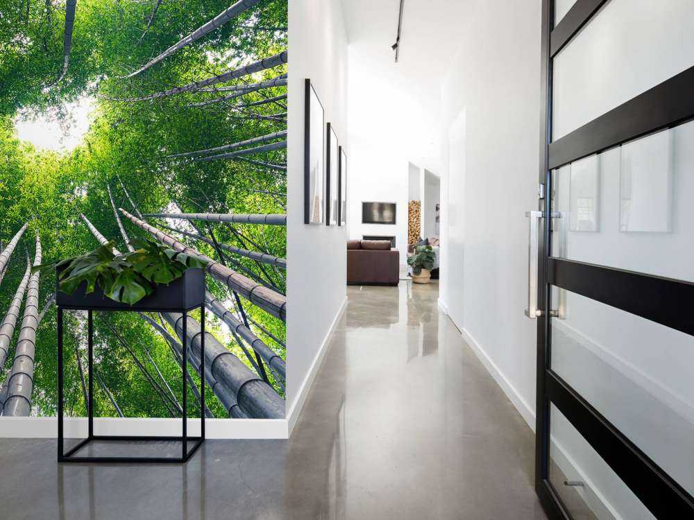 Forest with bamboo