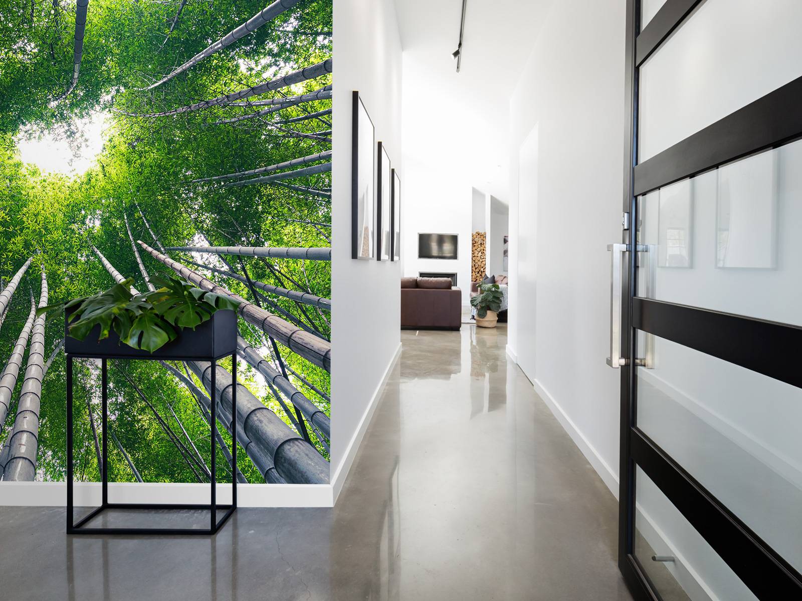 Forest with bamboo